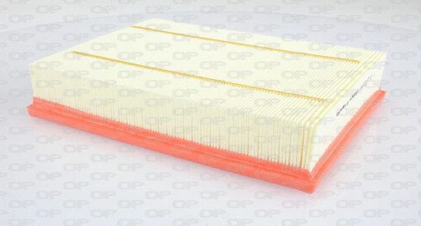 Air Filter (EAF3237.10)