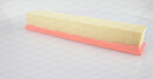 Air Filter (EAF3598.10)
