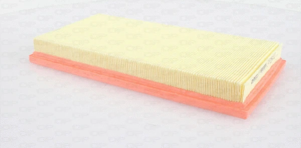 Air Filter (EAF3548.10)