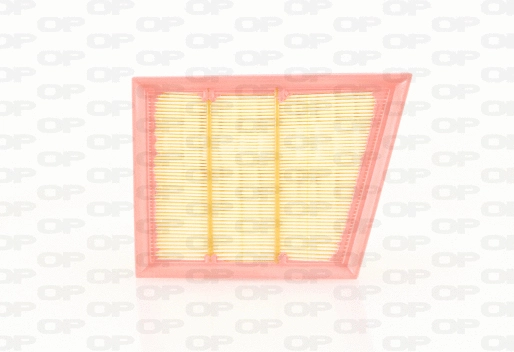 Air Filter (EAF3732.10)