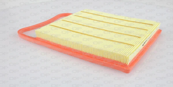 Air Filter (EAF3268.10)