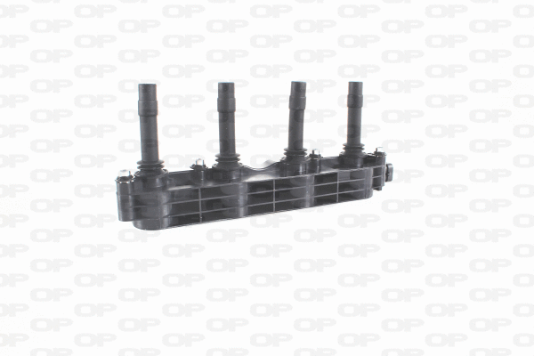 Ignition Coil (IGN1039.00)