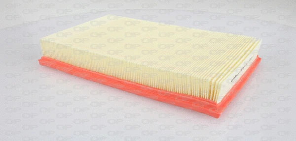 Air Filter (EAF3244.10)
