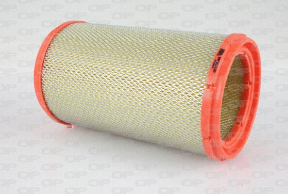 Air Filter (EAF3123.20)