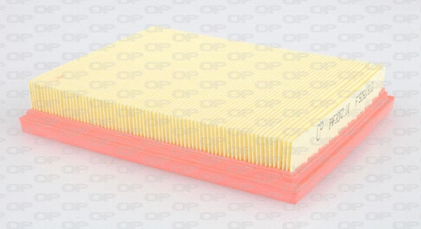 Air Filter (EAF3052.10)