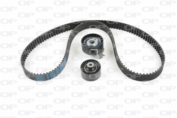 Timing Belt Kit (TBK5021.01)