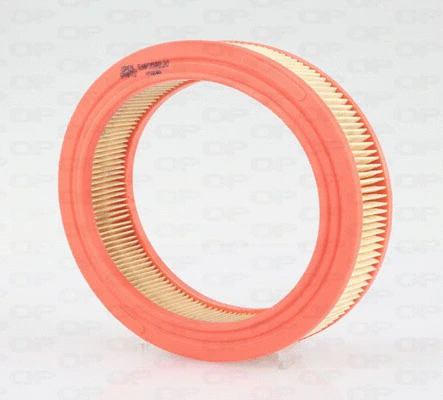 Air Filter (EAF3580.20)