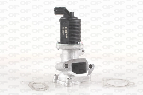 EGR Valve (EGR3025.00)