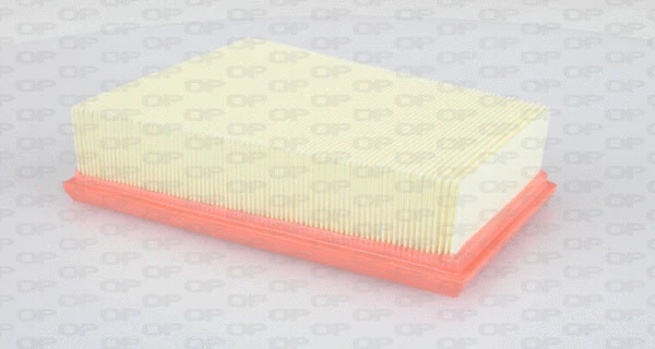 Air Filter (EAF3026.10)