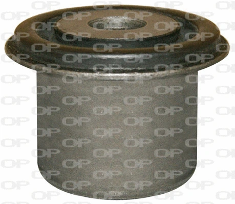 Mounting, control/trailing arm (SSS1004.11)