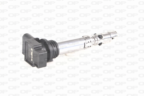Ignition Coil (IGN1017.00)