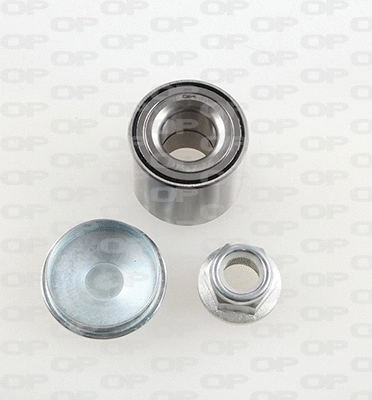 Wheel Bearing Kit (HBK5028.01)