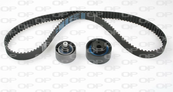 Timing Belt Kit (TBK5121.01)