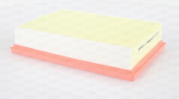 Air Filter (EAF3608.10)