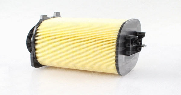 Air Filter (EAF3674.20)