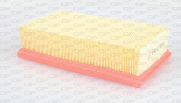 Air Filter (EAF3033.10)