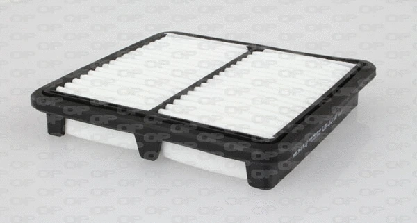 Air Filter (EAF3137.10)