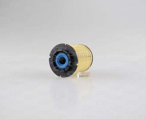 Fuel Filter (EFF5289.10)