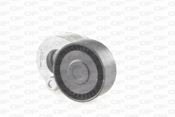 Belt Tensioner, V-ribbed belt (ACT2198.00)