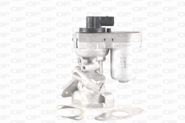 EGR Valve (EGR3029.00)
