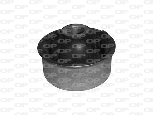 Mounting, control/trailing arm (SSS1202.11)