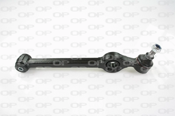 Control/Trailing Arm, wheel suspension (SSW1021.11)