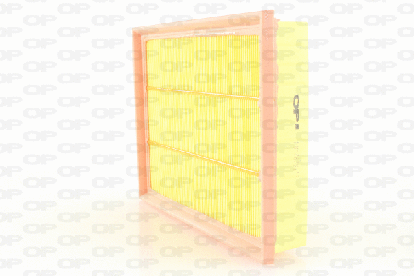 Air Filter (EAF3725.10)