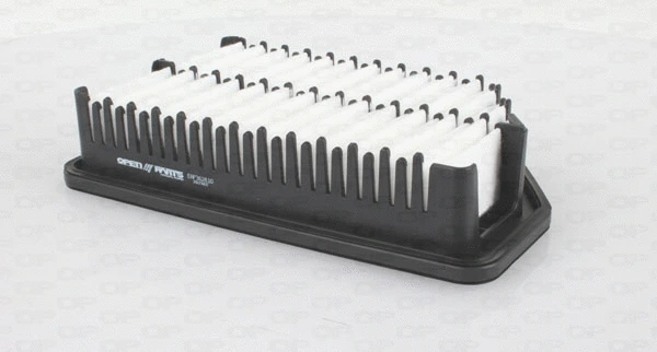 Air Filter (EAF3628.10)