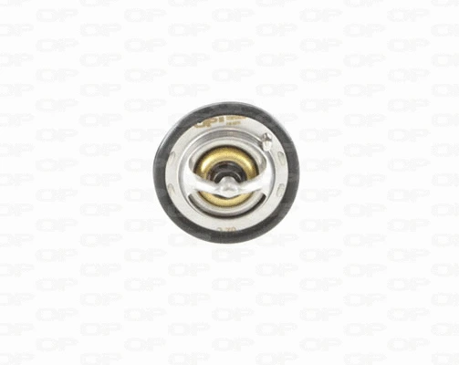 Thermostat, coolant (TRM1080.00)