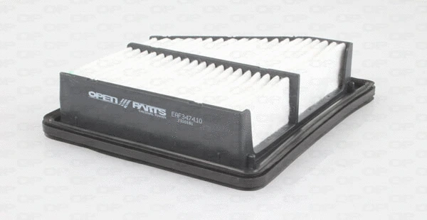 Air Filter (EAF3474.10)