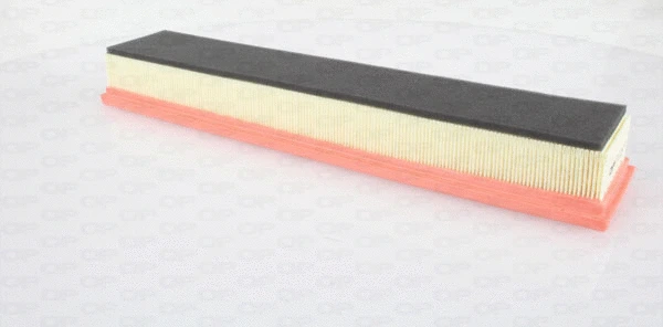 Air Filter (EAF3558.10)