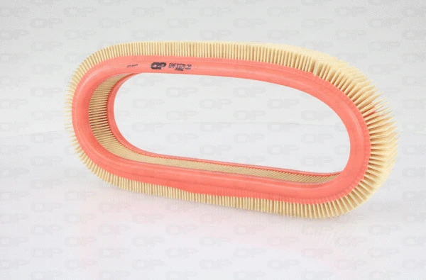 Air Filter (EAF3379.20)