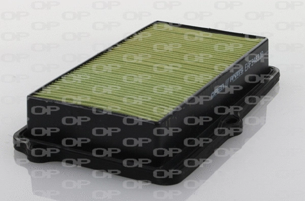 Air Filter (EAF3483.10)
