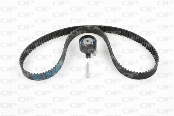 Timing Belt Kit (TBK5017.01)