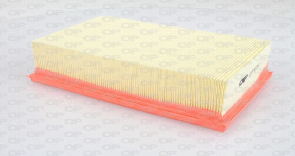 Air Filter (EAF3055.10)