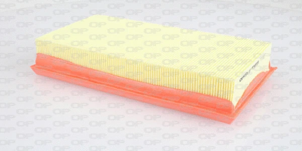 Air Filter (EAF3203.10)
