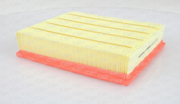 Air Filter (EAF3037.10)