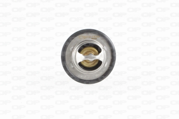 Thermostat, coolant (TRM1011.00)