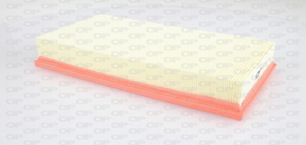 Air Filter (EAF3209.10)