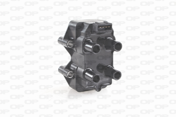 Ignition Coil (IGN1055.00)
