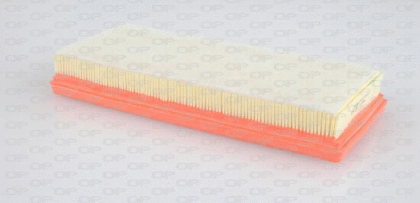 Air Filter (EAF3176.10)
