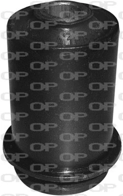 Mounting, control/trailing arm (SSS1113.11)