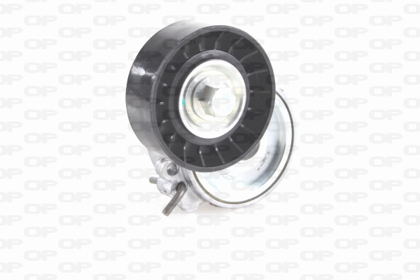 Belt Tensioner, V-ribbed belt (ACT2043.00)