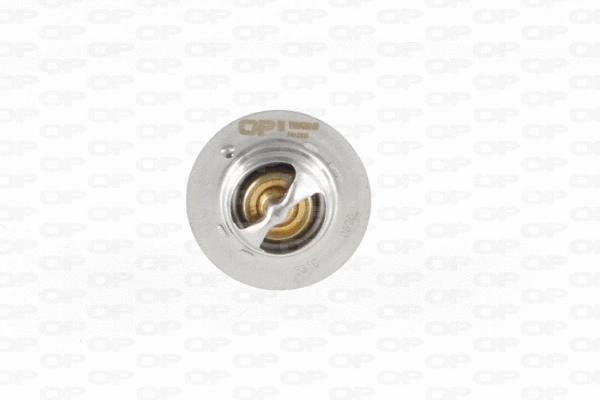 Thermostat, coolant (TRM1000.00)
