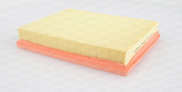 Air Filter (EAF3494.10)