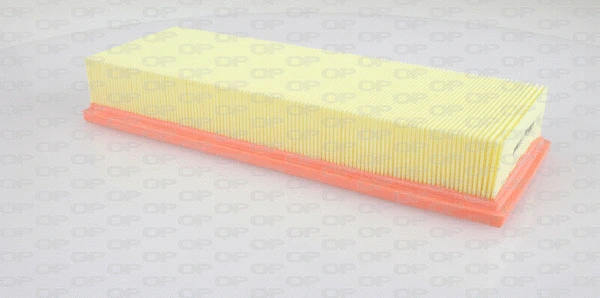 Air Filter (EAF3172.10)