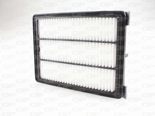 Air Filter (EAF3709.10)