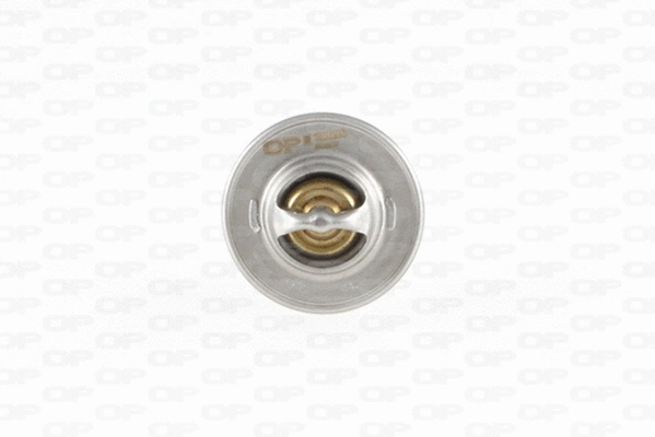 Thermostat, coolant (TRM1002.00)