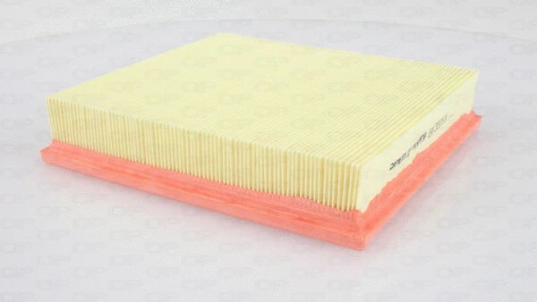 Air Filter (EAF3375.10)