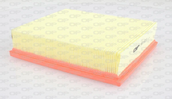 Air Filter (EAF3192.10)
